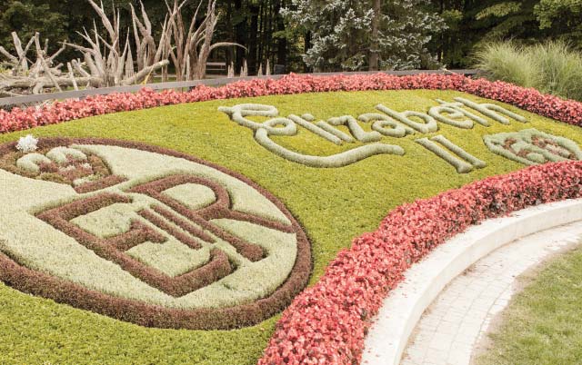 The Ravine Neighbourhood Garden